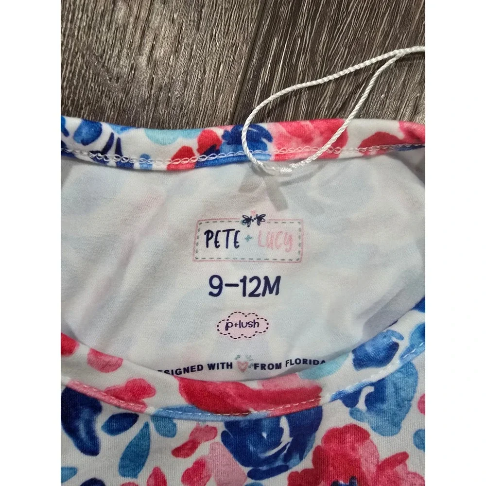 Pete + Lucy Baby Girl Floral Dress P+Lush Watercolor Ruffle Blue Pink 9-12M NWT